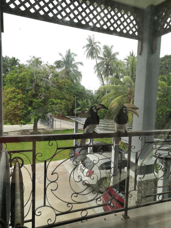 Darney'S Homestay Kg Bangau Tanjung Temerloh Esterno foto
